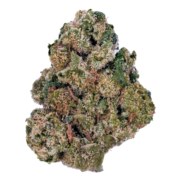 Close-up of a cannabis bud on a white background